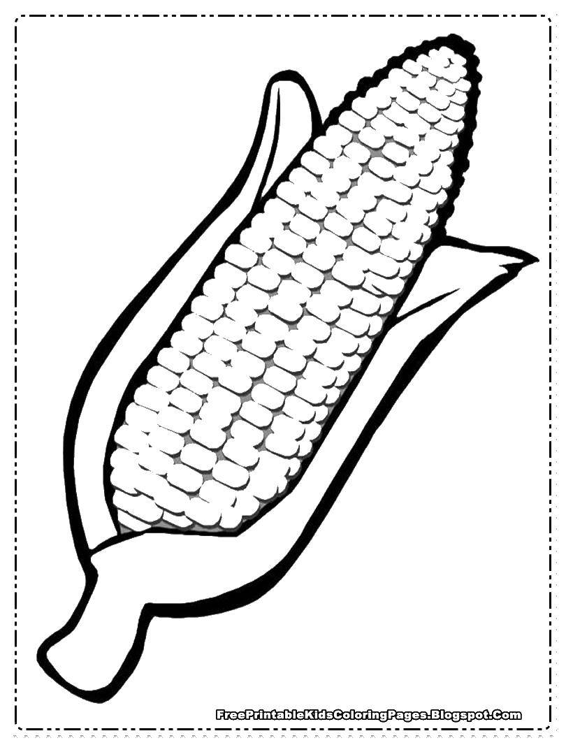 Название: Раскраска Початок кукурузы. Категория: Кукуруза. Теги: кукуруза, початки.