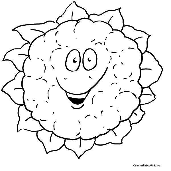 Coloring Sunflower. Category The plant. Tags:  smile sunflower.