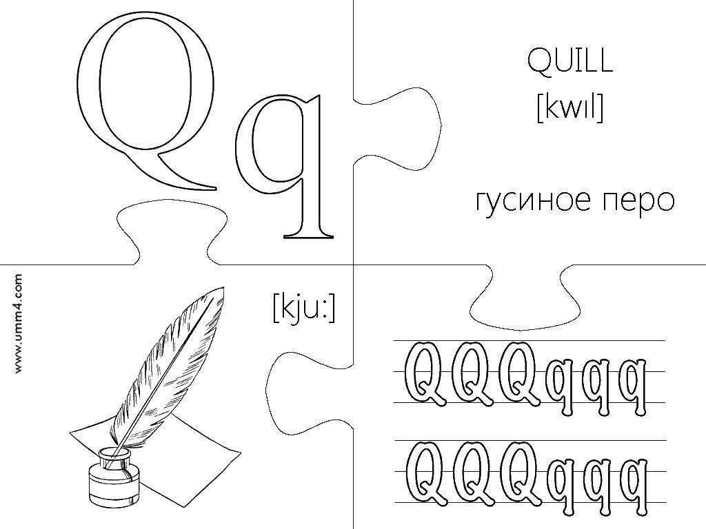 Coloring Goose feather. Category letters. Tags:  The alphabet, letters, words.