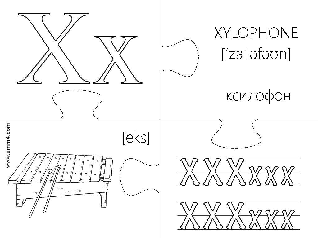 Coloring Xylophone.. Category letters. Tags:  The alphabet, letters, words.