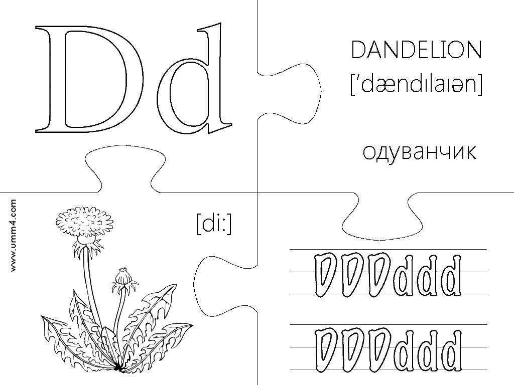 Coloring Dandelion. Category letters. Tags:  letters, dandelion, Dd.