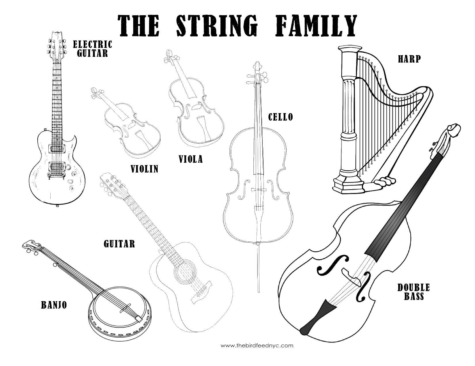 Название: Раскраска Струнное семейство. Категория: Музыка. Теги: музыка, инструменты, струнные.
