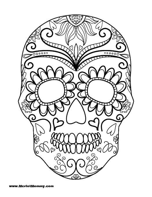 Coloring A skull without eyes. Category coloring antistress. Tags:  skull.