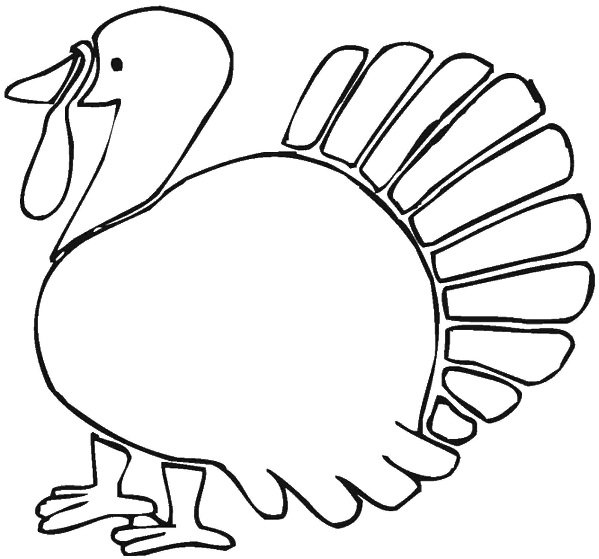 Coloring Turkey.. Category birds. Tags:  Birds.