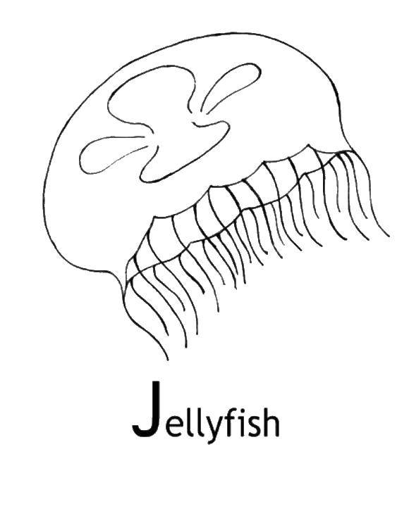 Coloring Medusa. Category Sea animals. Tags:  marine animals, jellyfish.