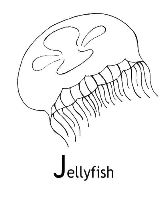 Название: Раскраска Медуза. Категория: Морские обитатели. Теги: морские животные, медузы.