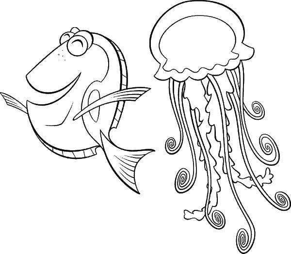 Название: Раскраска Рыба и медуза. Категория: Морские обитатели. Теги: морские жители, вода, море, медуза.