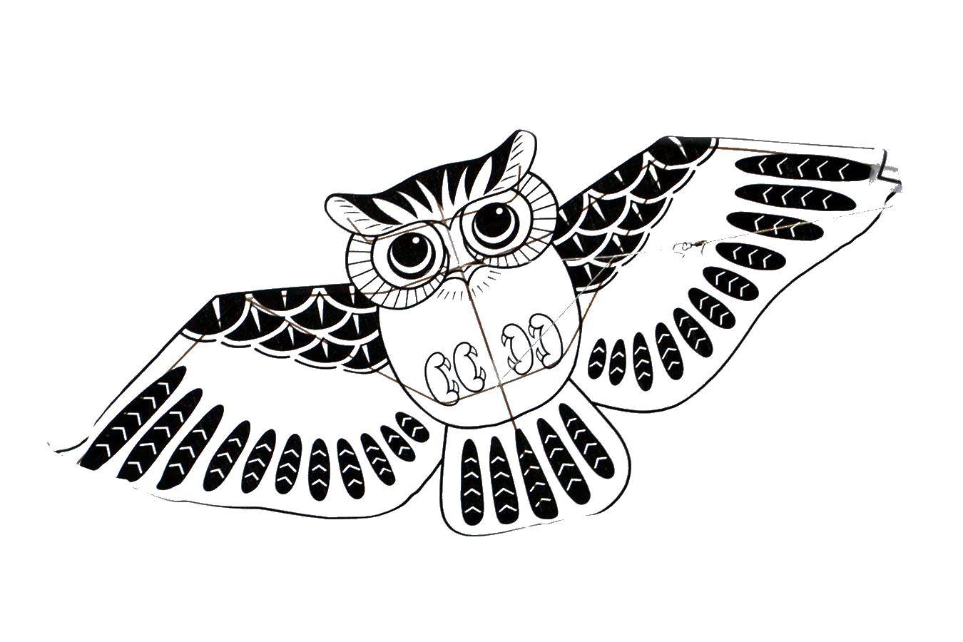 Coloring Owl in flight. Category birds. Tags:  birds, owl, wings.