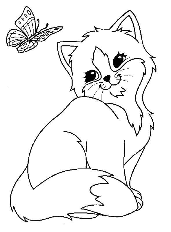 Название: Раскраска Котенок смотрит на бабочку. Категория: Коты и котята. Теги: коты, животные, бабочка, котята.