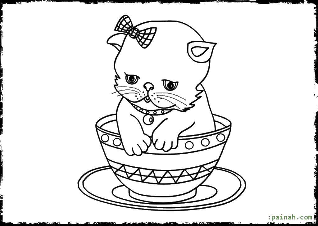 Название: Раскраска Котенок в чашке. Категория: Коты и котята. Теги: котенок, чашка.