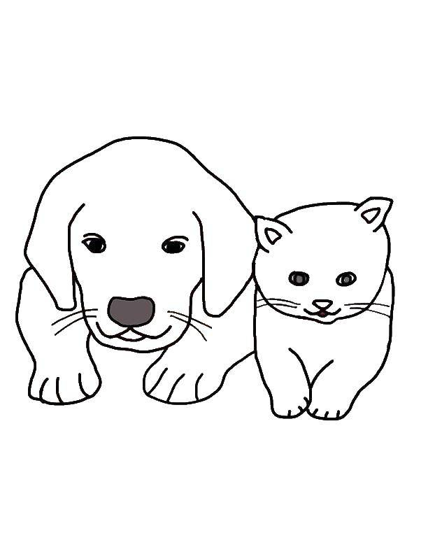 Название: Раскраска Котик с щенком. Категория: Животные. Теги: Животные, котёнок, щенок.