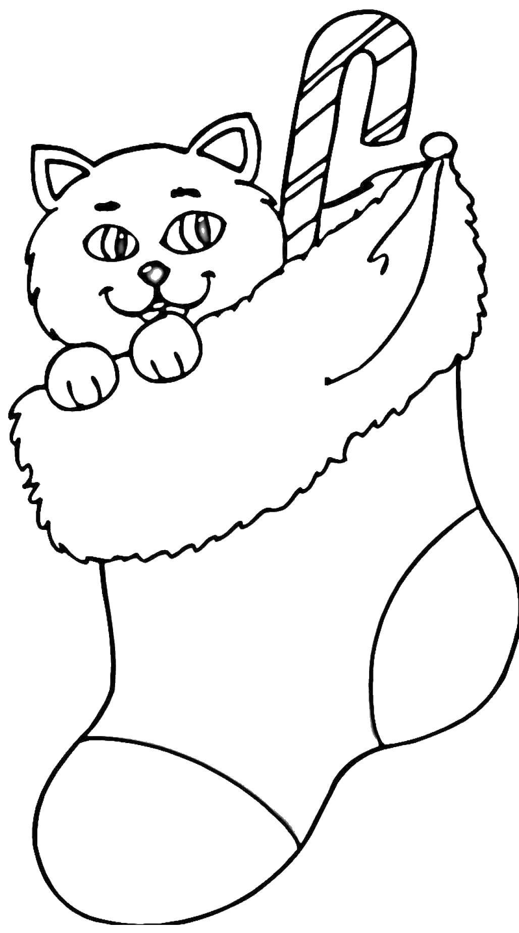 Название: Раскраска Котик в носочке. Категория: Рождество. Теги: рождество, носочек, котик.