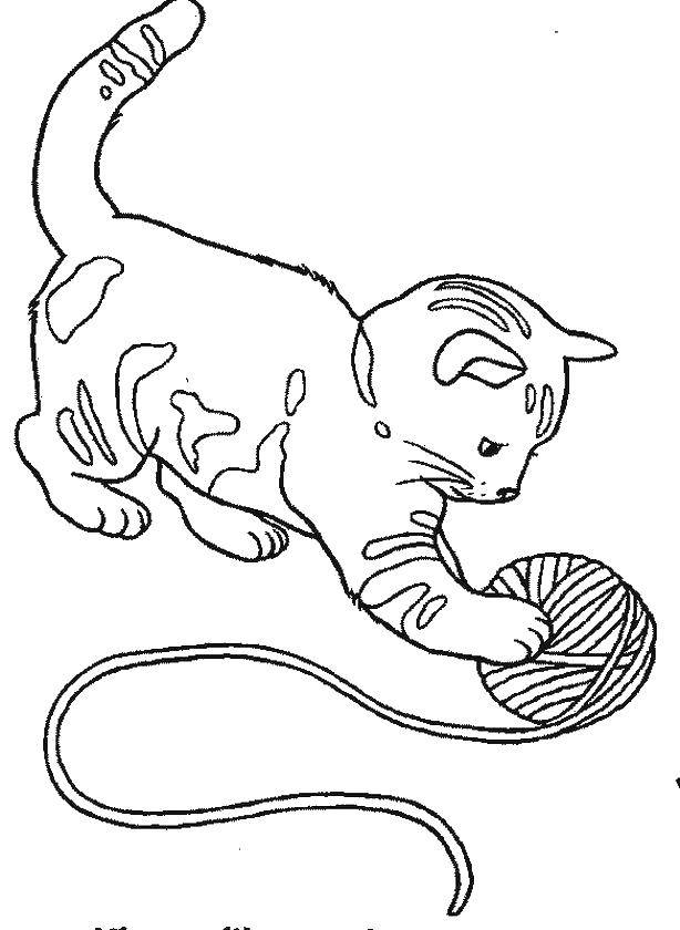 Coloring Kitten playing with ball of thread. Category Cats and kittens. Tags:  Animals, kitten.