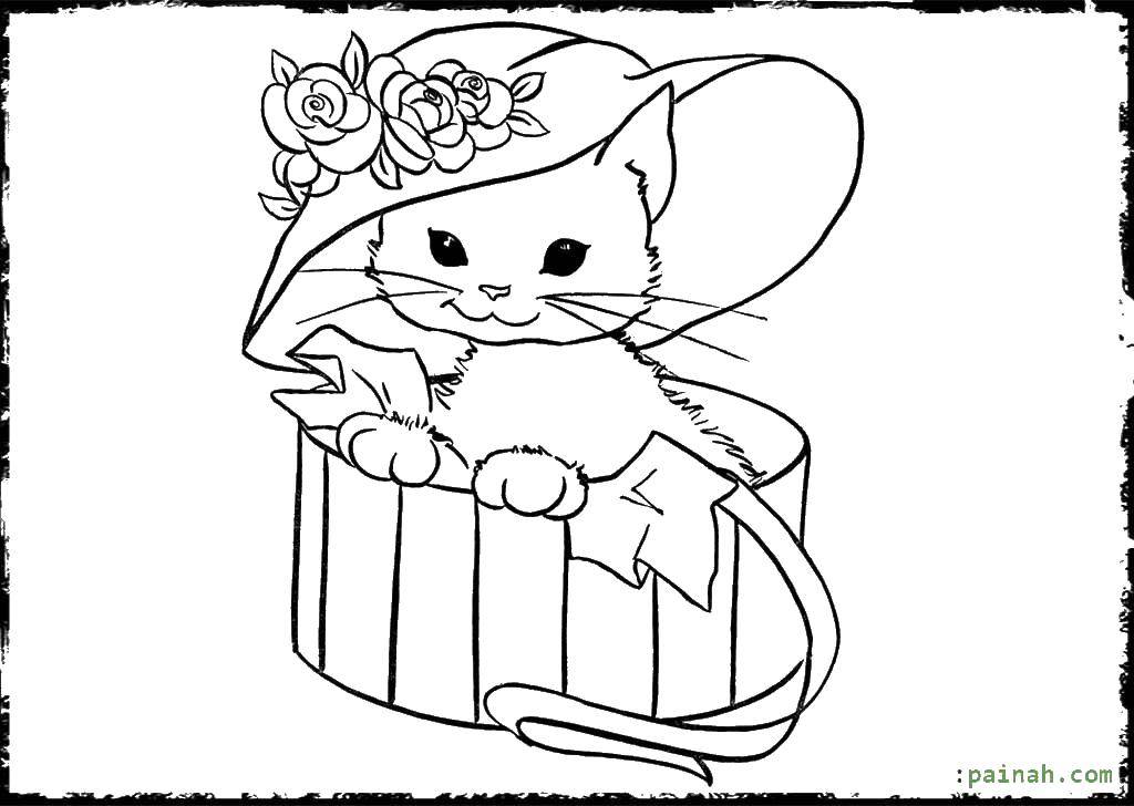 Coloring Kitten in a box.. Category Cats and kittens. Tags:  Animals, kitten.