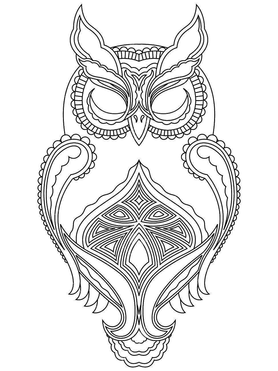 Coloring Owl pattern. Category birds. Tags:  Owl patterns.