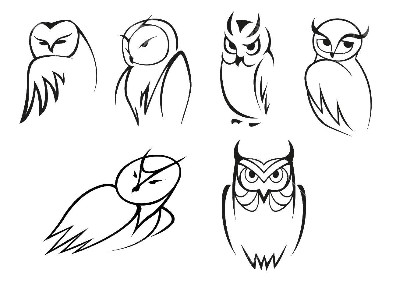 Coloring Owls. Category birds. Tags:  owls.