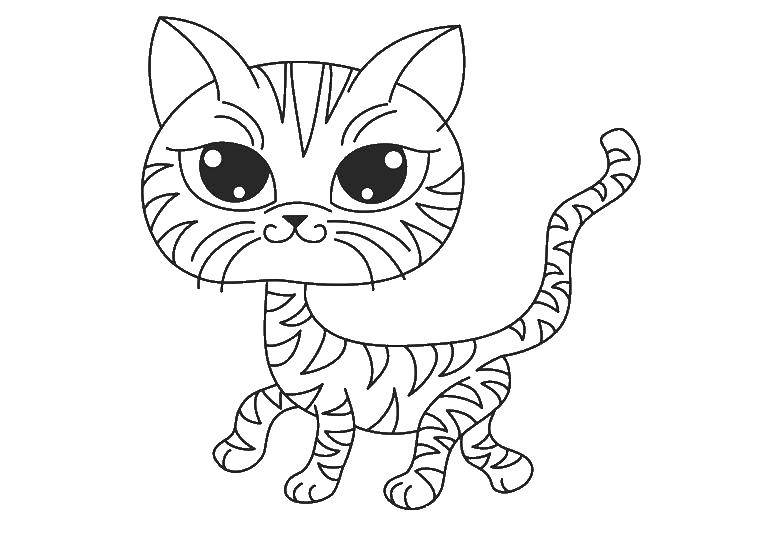 Название: Раскраска Тигровая кошка. Категория: Коты и котята. Теги: кот, кошка.