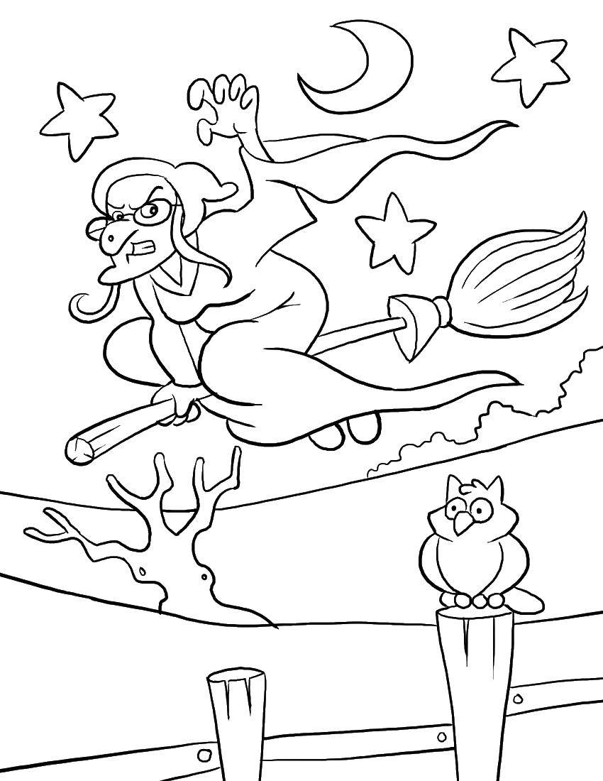 Coloring Witch on a broomstick and an owl. Category that old woman. Tags:  that old woman, witch, broom, owl.
