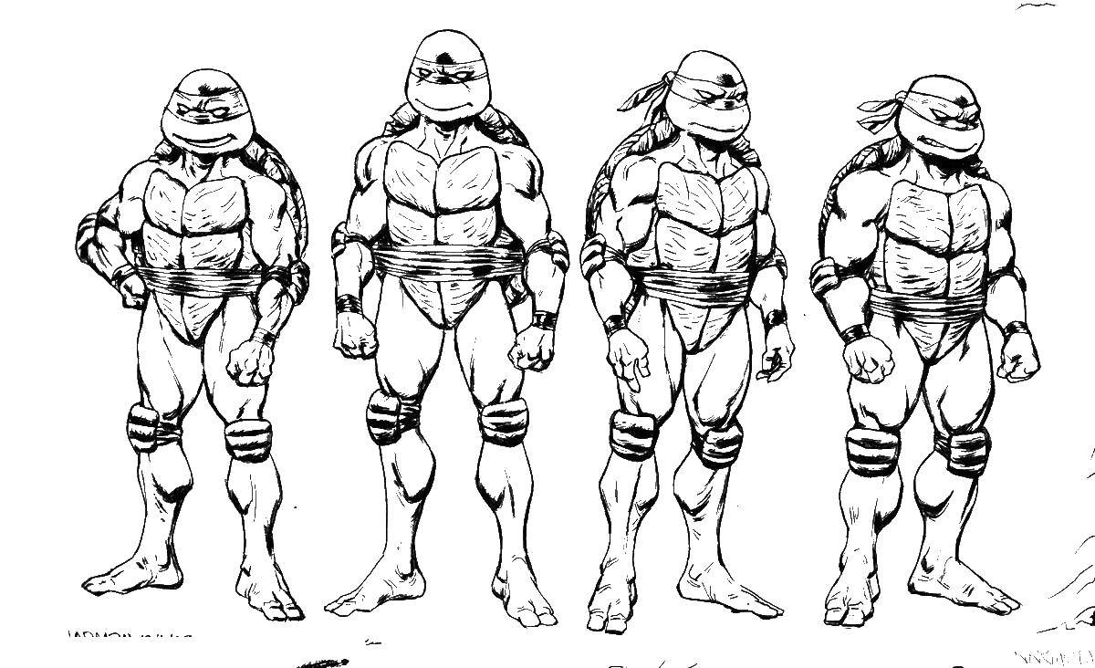 Coloring Teenage mutant ninja turtles rage. Category teenage mutant ninja turtles. Tags:  teenage mutant ninja turtles.