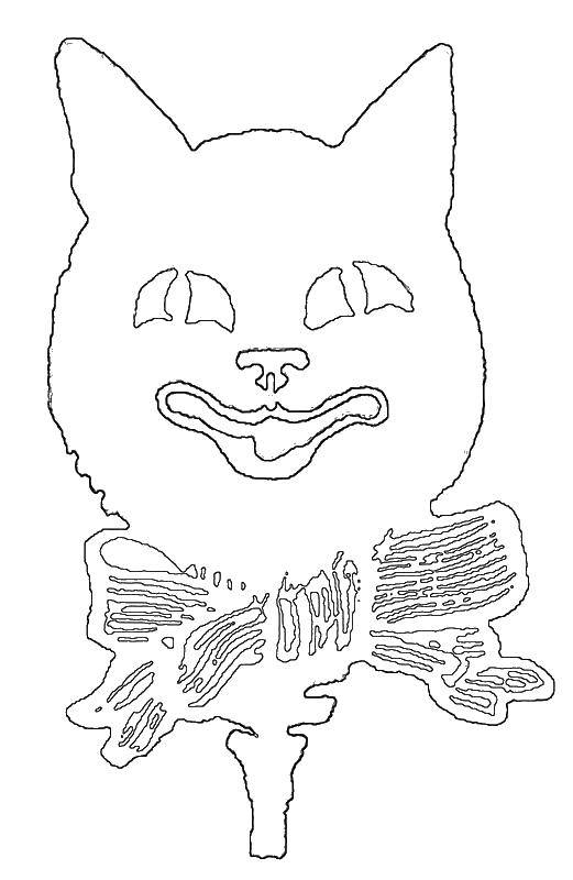 Coloring Cat. Category pattern . Tags:  the cat.