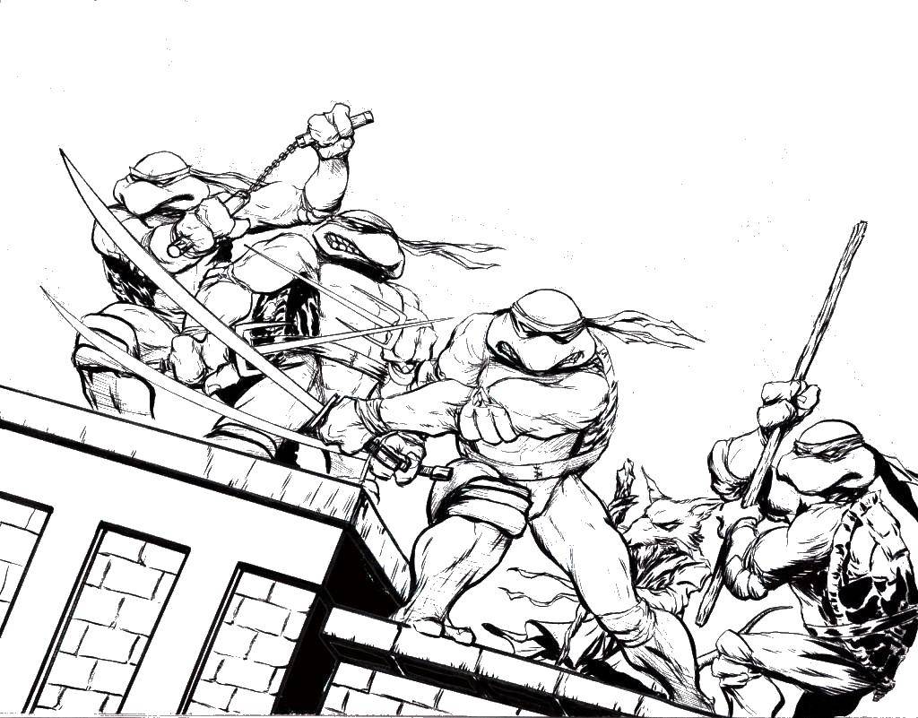 Coloring Turtles on the roof. Category Characters cartoon. Tags:  the roof, ninja turtles.