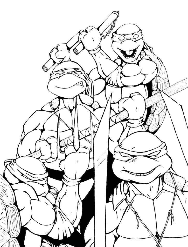 Coloring Turtles in the collection. Category teenage mutant ninja turtles. Tags:  Comics, Teenage Mutant Ninja Turtles.