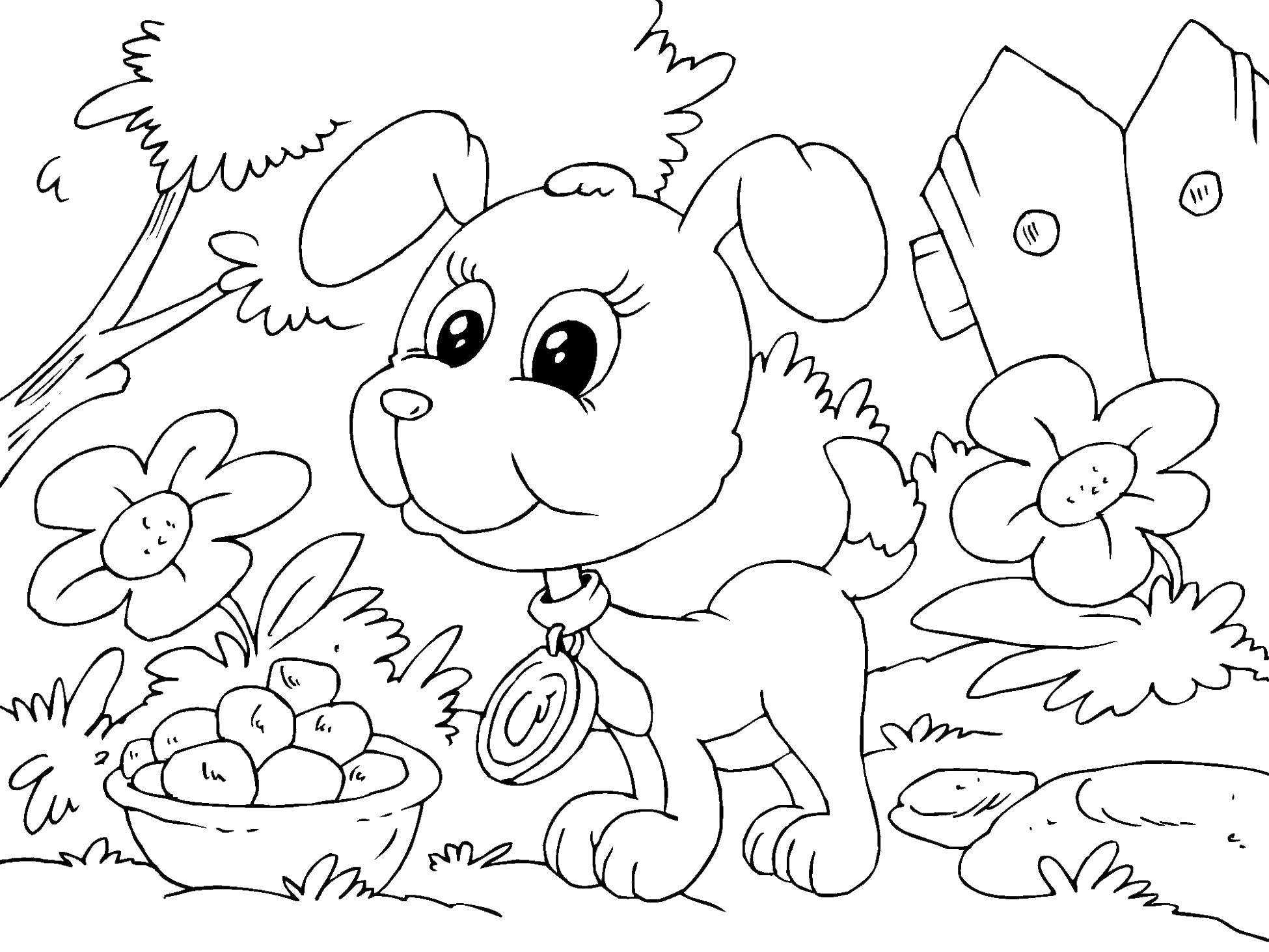 Coloring A bowl of dog. Category Pets allowed. Tags:  Animals, dog.