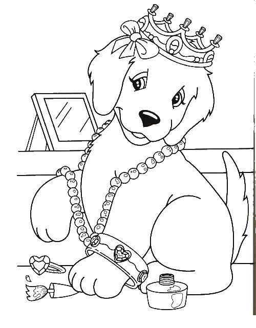 Coloring The puppy in the crown. Category Pets allowed. Tags:  puppy, crown.
