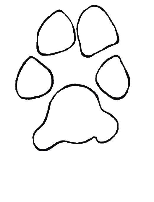 Coloring The dog track. Category coloring. Tags:  footprints, animals, dog.