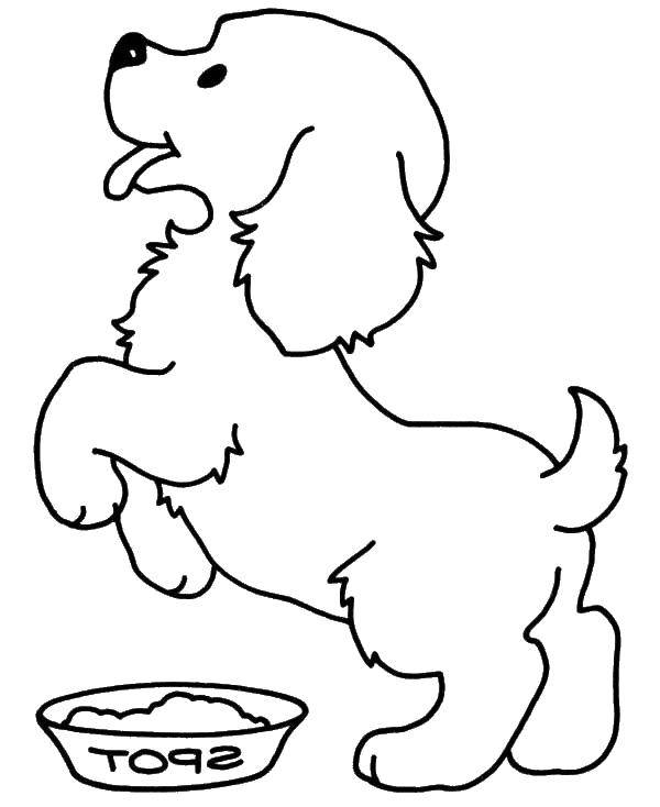 Название: Раскраска Собачка на задних лапках и миска. Категория: домашние животные. Теги: животные, собака, щенок, пес, миска.