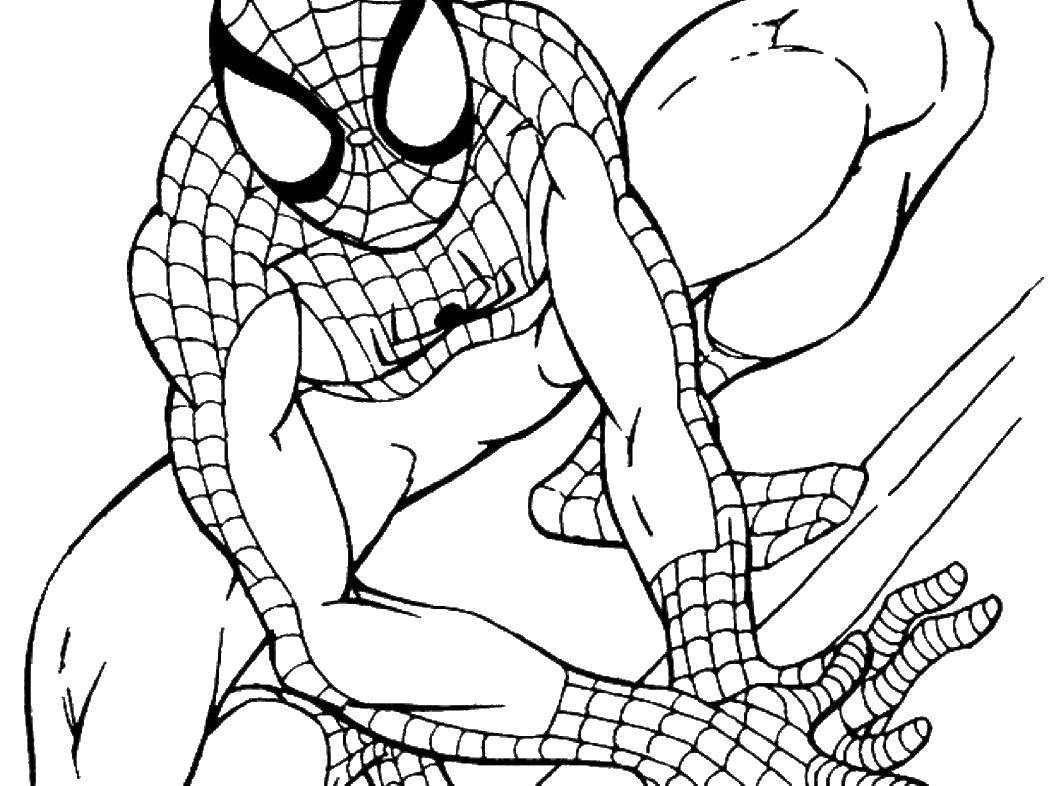 Название: Раскраска Спайдер мэн человек паук. Категория: Комиксы. Теги: Комиксы, Спайдермэн, Человек Паук.