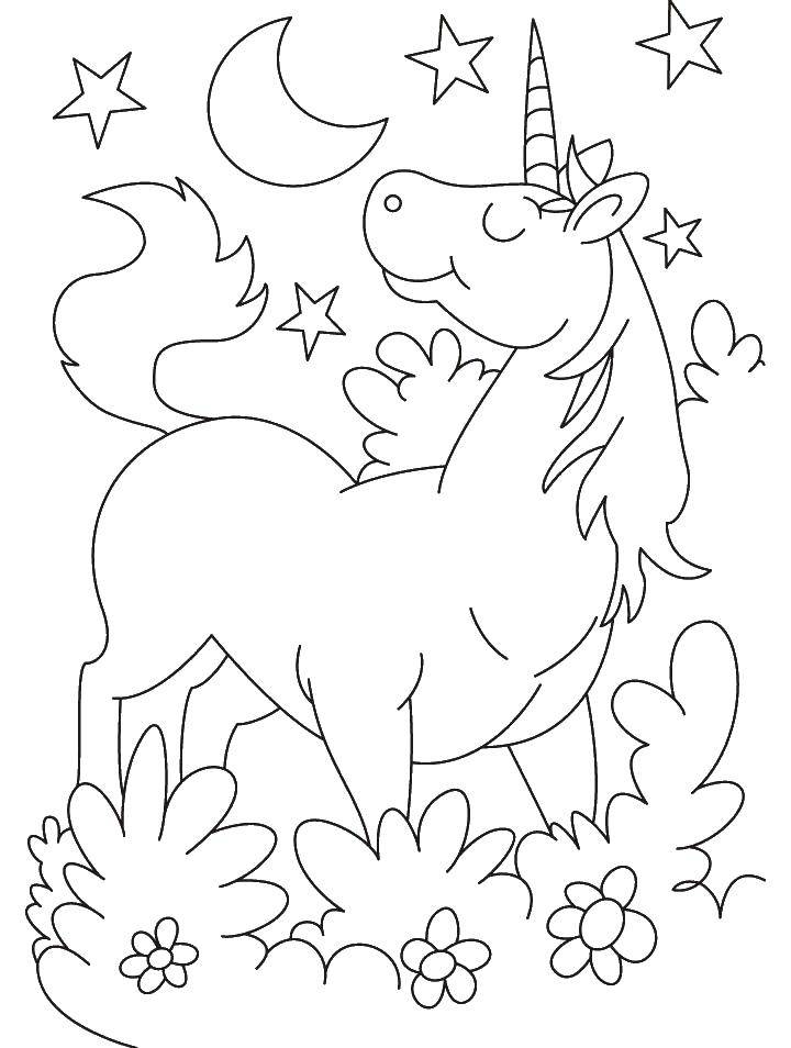 Название: Раскраска Единорог и звездное небо. Категория: Пони. Теги: лошади, пони, единорог.