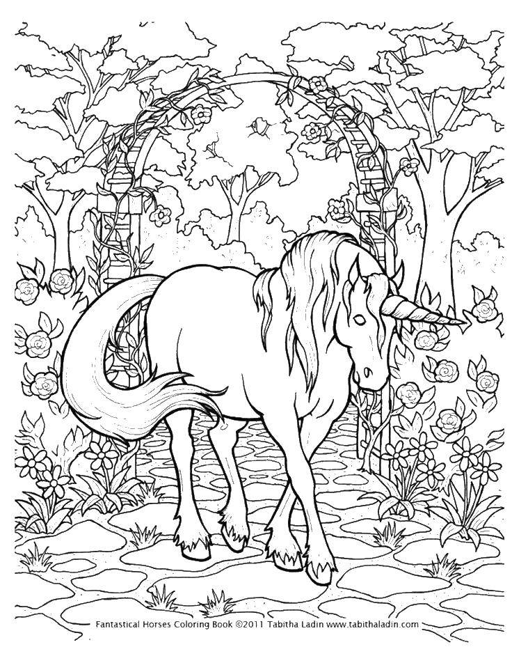 Название: Раскраска Единорог в прекрасном саду. Категория: лошади. Теги: лошади, единороги, сад, цветы.