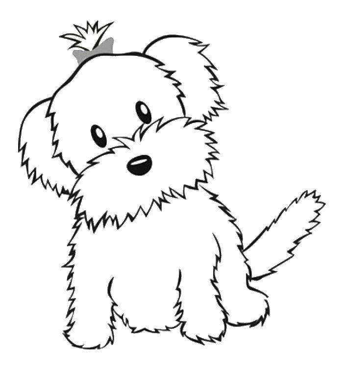 Название: Раскраска Собачка с хвостиком. Категория: домашние животные. Теги: животные, собака, щенок, пес.