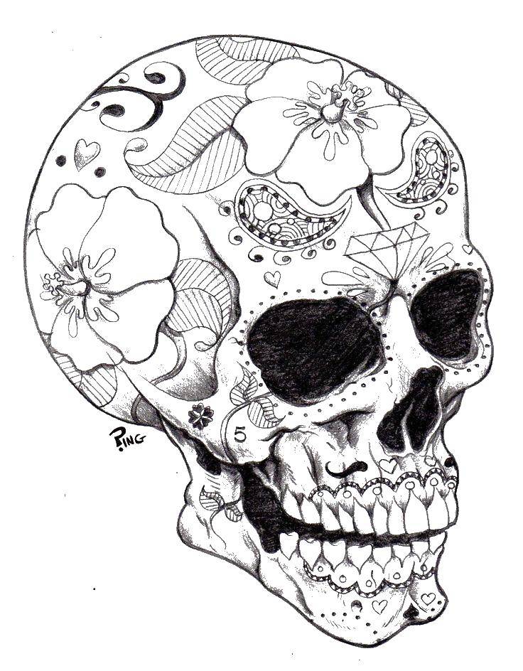 Coloring Skull drawn with a pencil. Category Skull. Tags:  skull, flowers, patterns.