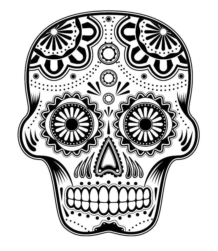 Coloring Skull in flowers. Category Skull. Tags:  skull, patterns, skeletons.