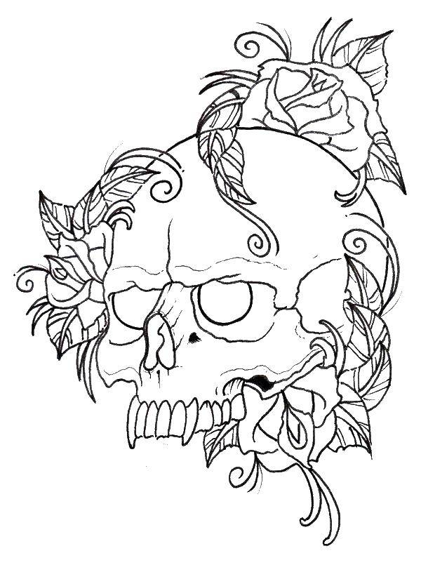 Название: Раскраска Половина черепа и розы. Категория: Череп. Теги: череп, цветы, розы.