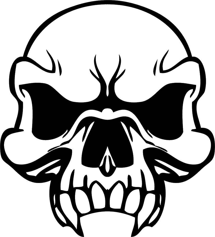 Coloring Evil skull. Category Skull. Tags:  Skull.
