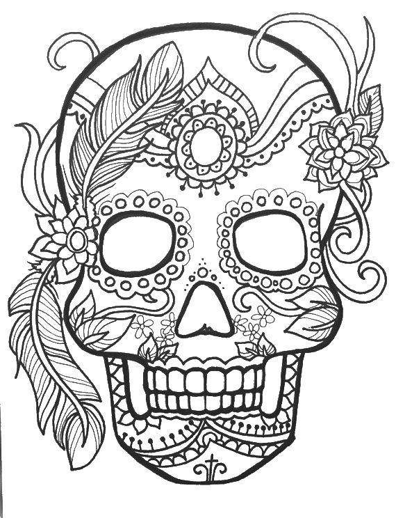 Coloring Skull with ornaments and feathers. Category Skull. Tags:  skull, patterns, flowers, feathers.