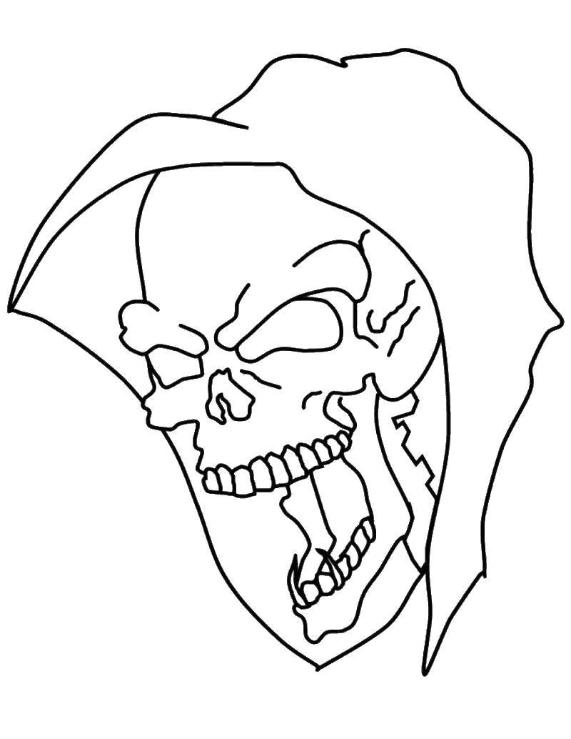 Coloring The skull in the hood. Category Skull. Tags:  skull.