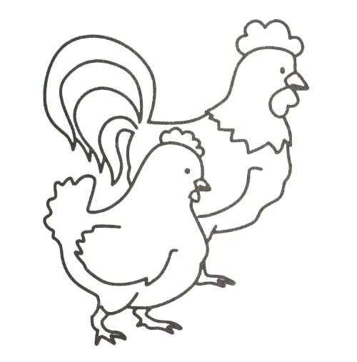 Название: Раскраска Рисунок петуха и курицы. Категория: домашние животные. Теги: петух, курица.