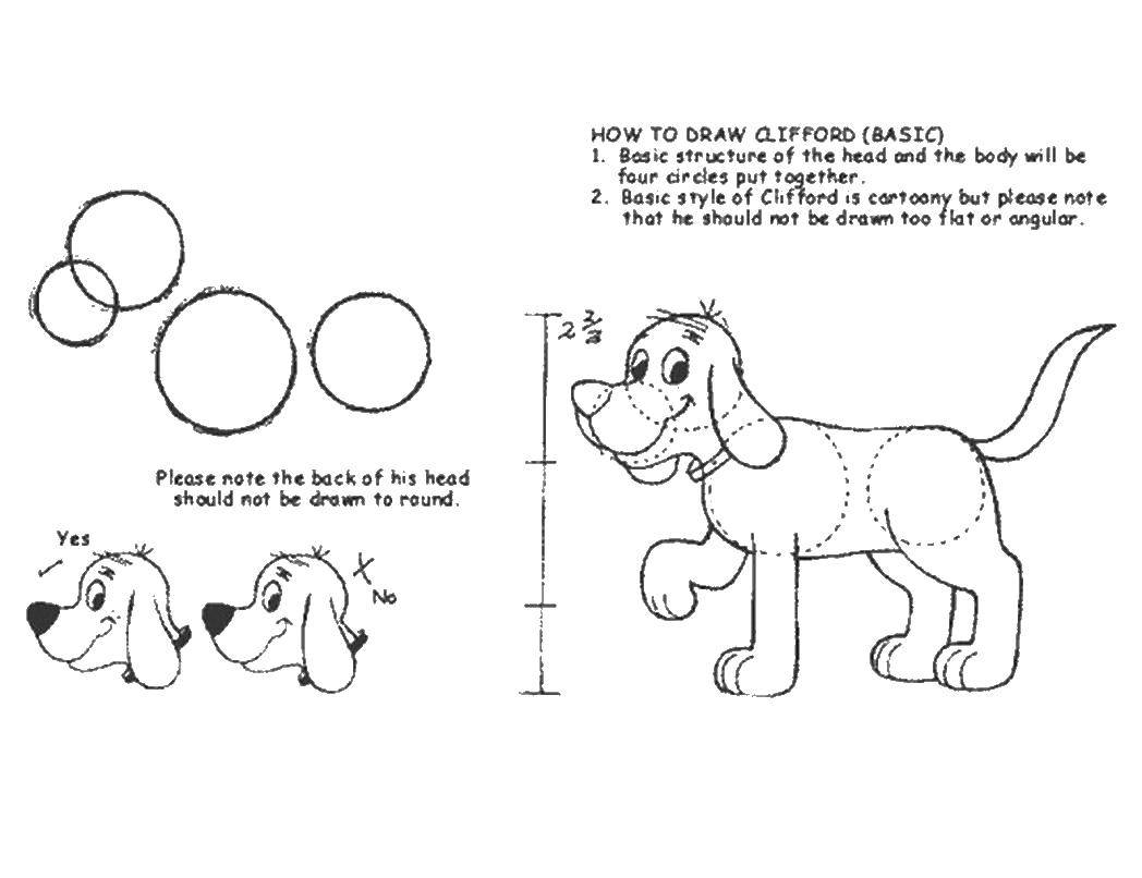 Название: Раскраска Учимся рисовать собаку. Категория: домашние животные. Теги: собака.