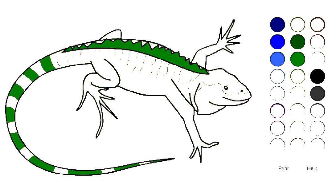 Coloring Lizard. Category Animals. Tags:  the lizard.