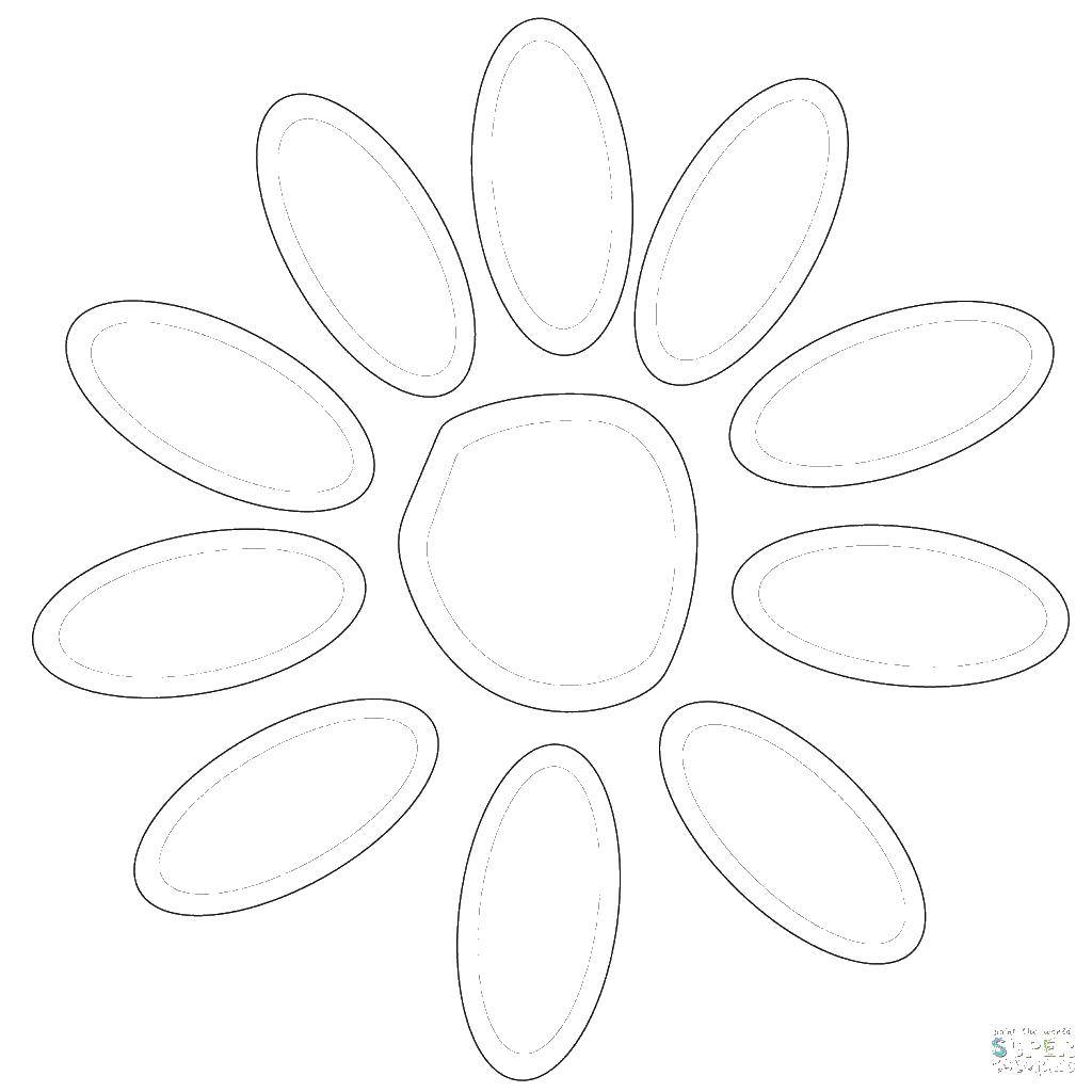 Coloring The usual Daisy. Category flowers. Tags:  Daisy, pistil, petals.
