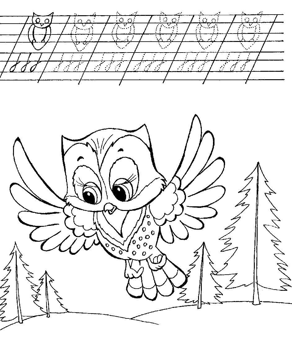Coloring Recipe with pictures. Category Tracing. Tags:  owl.