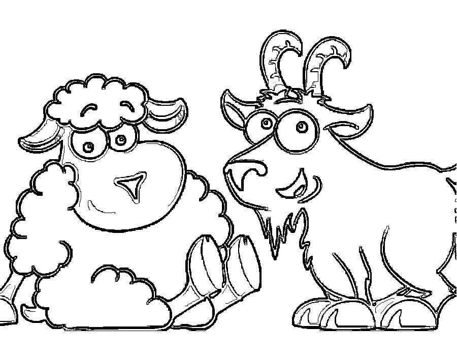 Название: Раскраска Рисунок барашка и козла. Категория: домашние животные. Теги: козел, барашек.