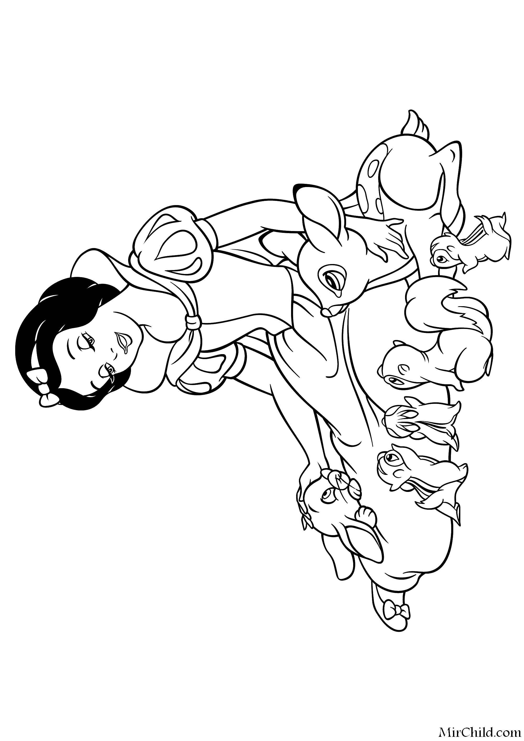 Coloring Snow white and animals. Category snow white. Tags:  Snow white, hare, deer, birds.