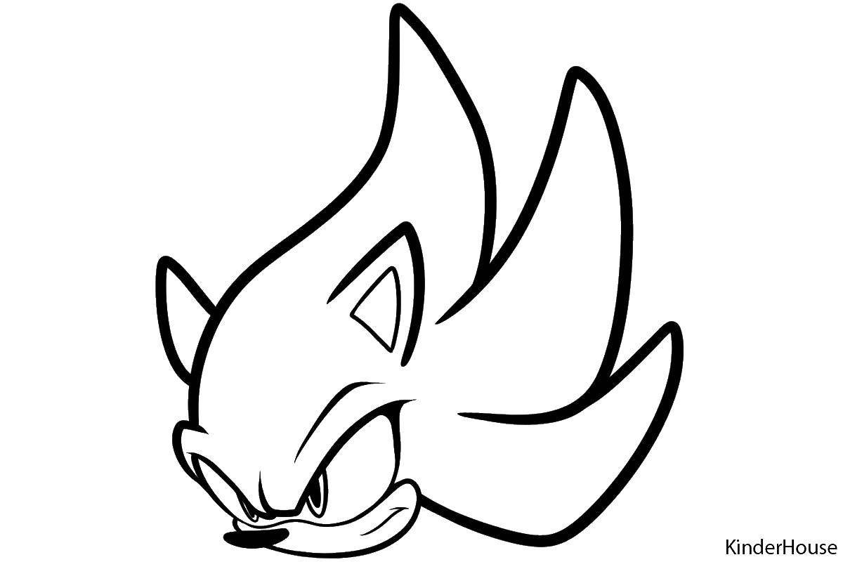 Coloring Head sonic. Category coloring pages sonic. Tags:  Sonic cartoons.