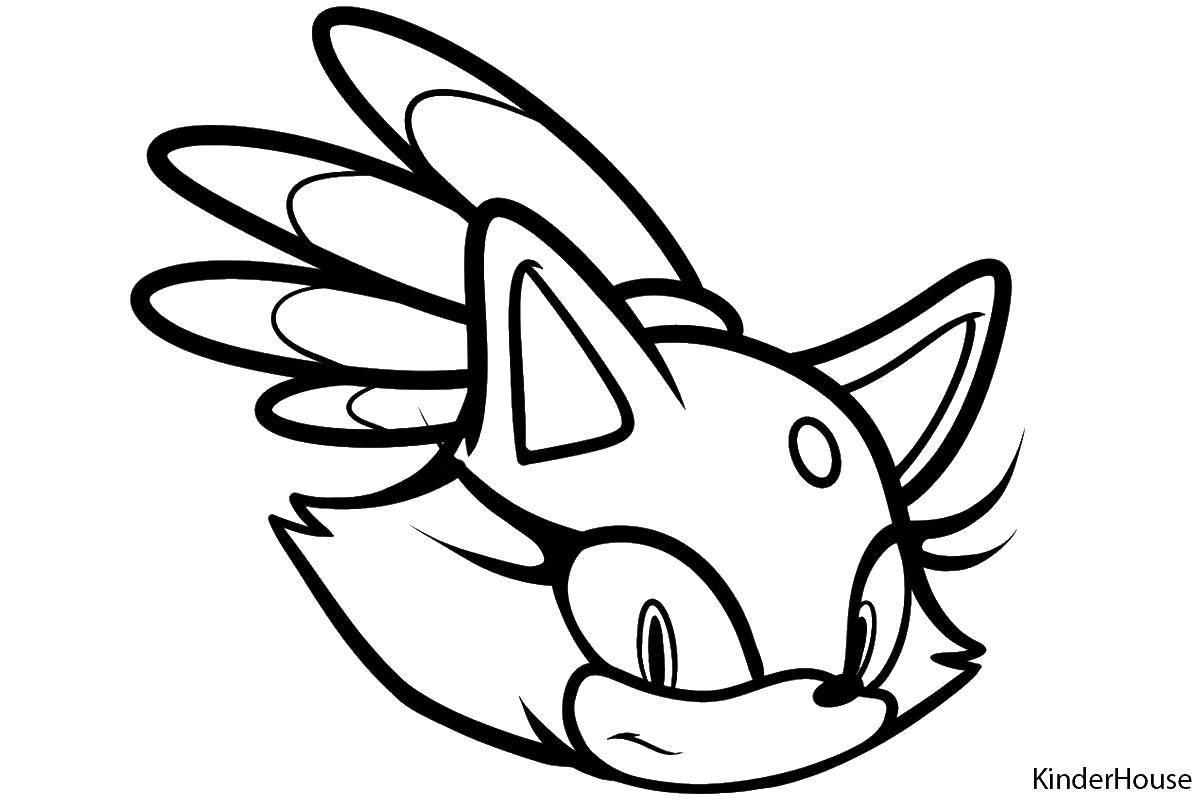 Coloring Cartoon sonic. Category coloring pages sonic. Tags:  cartoon sonic.