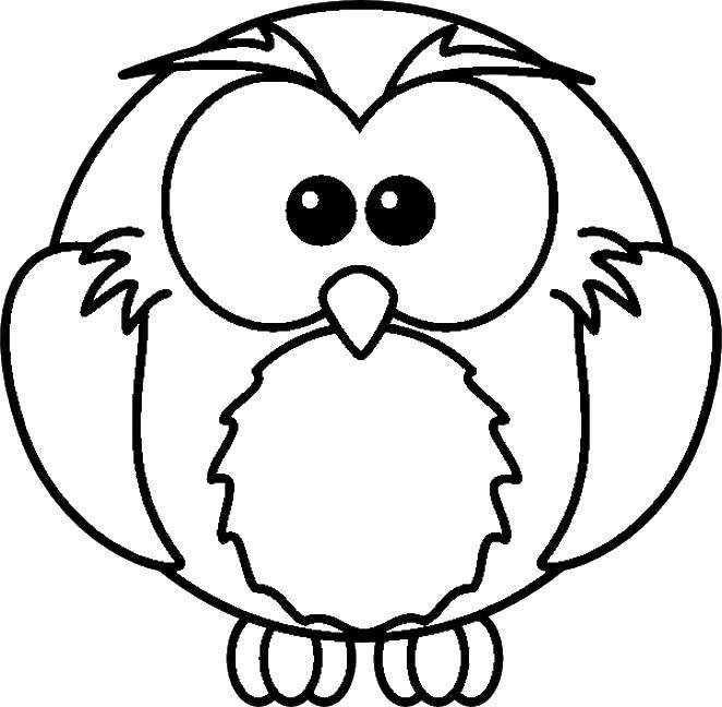 Coloring Night bird owl. Category animals. Tags:  the owl, a night bird.
